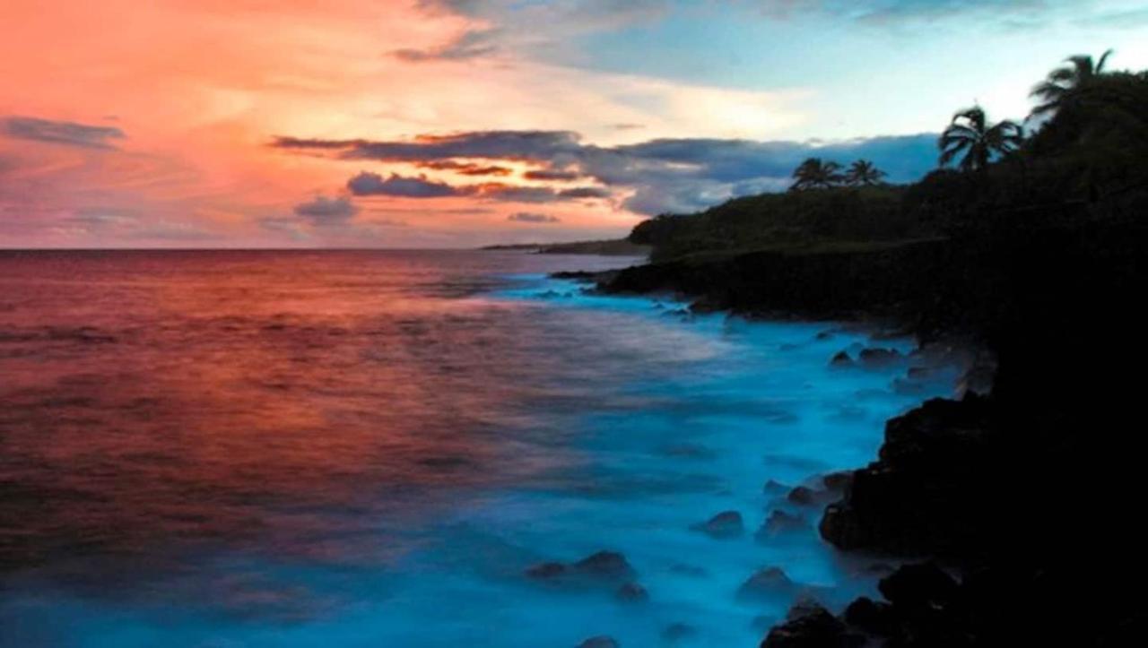 The Magical Lava Temple With Epic Volcano Views! Kehena 외부 사진